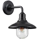 Светильник настенный уличный ODEON LIGHT 4965_1W NATURE 60 Вт IP44 цвет черный