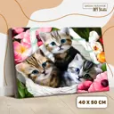 Картина по номерам на холсте с подрамником "Котята" 40x50 см