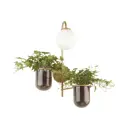 Настенный светильник ODEON LIGHT 4682_1W Flower цвет золотой