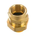 Муфта комбинированная Stahlmann 1"x25 мм ВР латунь