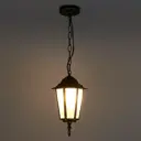Светильник уличный подвесной Elektrostandard 1004H 60 Вт IP44