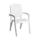 Стул садовый Ellastik-plast Прованс 47 см х 58 см х 90 см пластик белый
