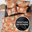 Комплект постельного белья Ночь Нежна Royal Арабелла 70681-1+70682-1 Поплин евро 70x70 см (2) книжка