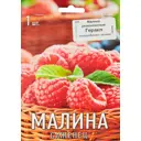 Малина ремонтантная Геракл капер h17 см