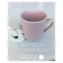 Кружка Fioretta Scandy Rose 355мл TDM464