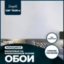 Обои флизелиновые Anturage Simple 1.06 м серые 1204669