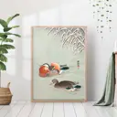 Постер 28 картин "Утки мандаринки гравюра" 70x50 см в тубусе без рамы