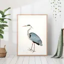 Постер 28 картин "Серая цапля иллюстрация ретро" 50x40 см в тубусе без рамы
