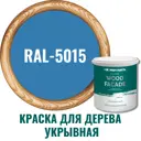 Краска для дерева Profipaints Silver Wood Fasade цвет RAL-5015 небесный синий 9 л