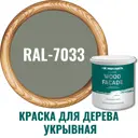 Краска для дерева Profipaints Silver Wood Fasade цвет RAL-7033 цементно-серый 2.7 л
