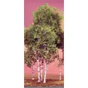 Наклейка для дверей и мебели Wallfix "Березы на розовом фоне" 95x220 см, W224