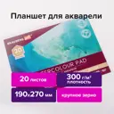 Альбом для рисования для акварели 300 г/м2 190x270 мм склейка крупное зерно 20 л. Brauberg Art Premiere 113247