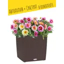 Кашпо напольное с автополивом Lechuza Cube Cottage 30 15375 12 л