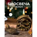 Биокамин настольный Ognivdom Череп, биосвеча