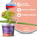 Краска резиновая EUROPAINT В_ЛМ_1113-2ПЕ цвет персик 7 кг
