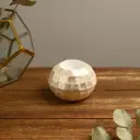 Подсвечник Simaland "Сияние" 7x7x5.5 см ракушка