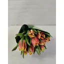 Букет Тюльпан махровые h50 см 9 шт