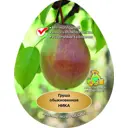 Груша Ника сетка h200 см