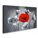 Постер Студия фотообоев "Красный мак" 50x80 см