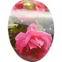 Роза парковая Луиз Одьер ø15 h30 см