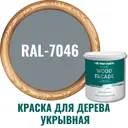 Краска для дерева PROFIPAINTS SILVER WOOD FASADE цвет RAL-7046 серый 9 л