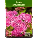 Спирея японская Манон ø9 см h40 см