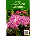 Спирея японская Сан-суси Набиона ø9 см h40 см