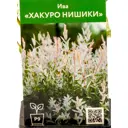 Ива Хакуро Нишики ø9 см h70 см