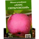 Яблоня Анис свердловский h135 см