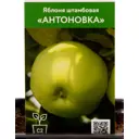 Яблоня Антоновка h135 см