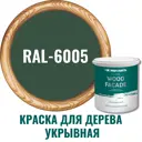 Краска для дерева PROFIPAINTS SILVER WOOD FASADE цвет RAL-6005 зелёный мох 0.9 л