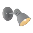 Спот поворотный Arte Lamp Jovi A1677AP-1GY 1 лампа цвет серый