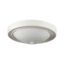 Светильник настенно-потолочный LUMION 5279-2C 2 лампы 6 м² цвет белый