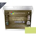 Краска резиновая ПолимерПромКраска 000.0111.21 цвет фисташковый 10 л