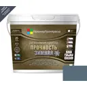 Краска резиновая ПолимерПромКраска 000.0111.19 цвет темно-серый 10 л