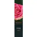 Роза Grande микс ø8 h35 см