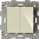 Выключатель встраиваемый Cgss Эстетика GL-W102-BGG 2 клавиши цвет бежевый глянец