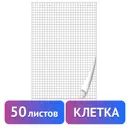 Бумага/листы/блокнот/блок для флипчарта Brauberg 50 листов клетка 67.5x98 см 80 г/м2 128647
