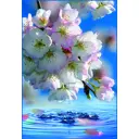 Фотообои Vostorg № 1 Утренняя свежесть 134x196 см