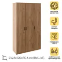 Шкаф распашной Rinner 120x215x51 см ЛДСП цвет коричневый