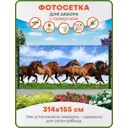 Фотосетка Art ФС020-Л Бегущие лошади с люверсами 314x155см