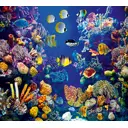Фотообои флизелиновые DeliceDecor И 413 Коралловый риф 300x270см