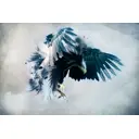 Фотообои флизелиновые DeliceDecor И 410 Орел 300x200см