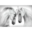 Фотообои флизелиновые DeliceDecor И 801 Белые лошади 400x270см