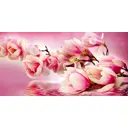 Фотообои флизелиновые DeliceDecor И 502 Магнолия с отражением 200x100см