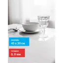 Набор салфеток сервировочных 2 шт Protect 10183 30x45 см ПВХ цвет прозрачный