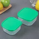 Набор контейнеров пищевых Доляна квадратных 2 шт: 450 мл; 700 мл пластик цвет зеленый