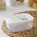 Контейнер для пищевых продуктов Доляна Эвкалипт 0.5 л пластик цвет белый