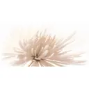 Керамическая плитка Cersanit Emma 00001101434 29.7x60см цвет бежевый