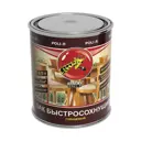 Лак быстросохнущий Poli-r глянцевый 0.75 л